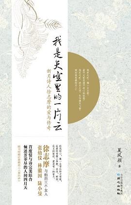 我是天空里的一片云 : 新约诗人徐志摩的爱与传奇