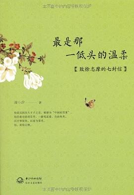 最是那一低头的温柔 : 致徐志摩的七封信