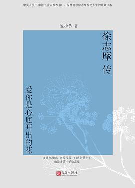 徐志摩传 : 爱你是心底开出的花