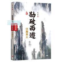 勘破西游. 第四部, 伏魔真义